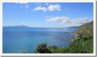 NZSPC 004