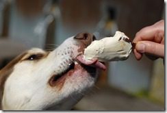 shutterstock_102793991