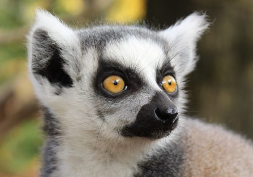 Photo by Zahra Jentges on Unsplash