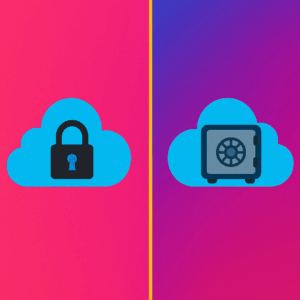 Private AI vs Public AI