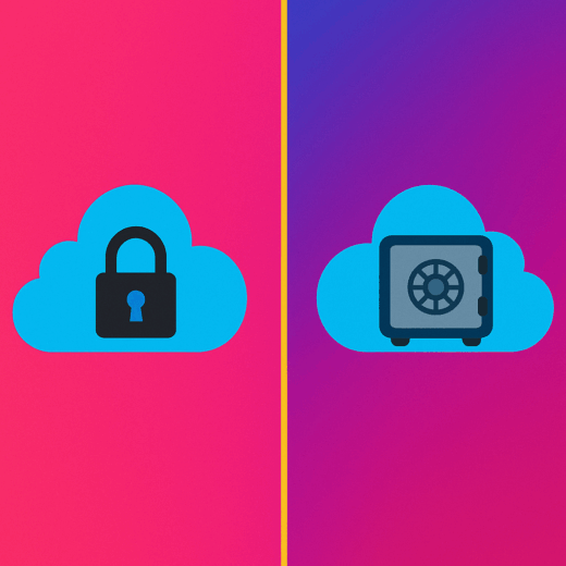 Private AI vs Public AI